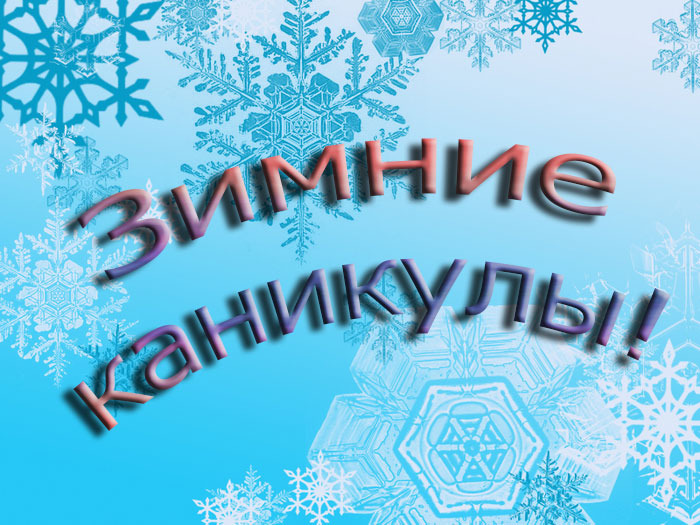 ФНПР не поддерживает предложение Геннадия Онищенко о сокращении новогодних каникул